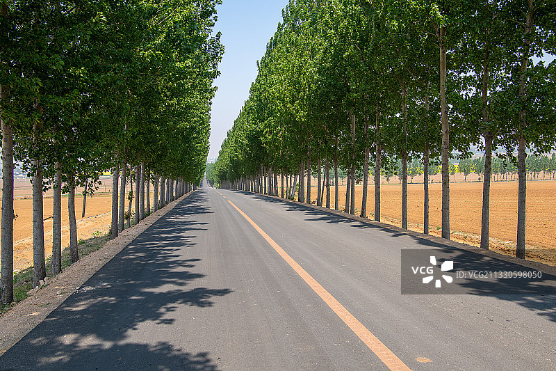 乡村公路图片素材