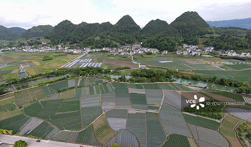 贵州省湄潭县黄家坝街道官堰村香葱种植基地图片素材