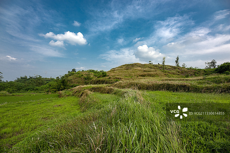 蓝天白云    稻田，丘陵  草图片素材