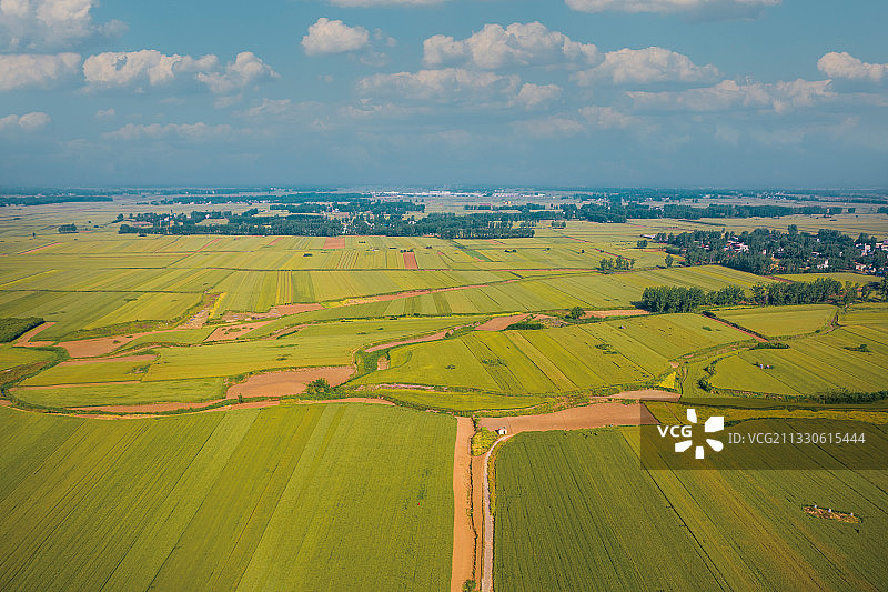 南阳市唐河县乡村麦田航拍图片素材