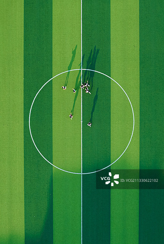 绿茵场图片素材