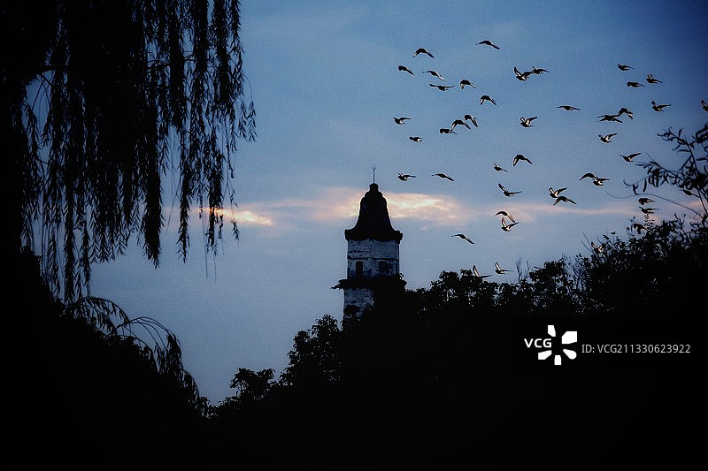 《古塔暮影》图片素材