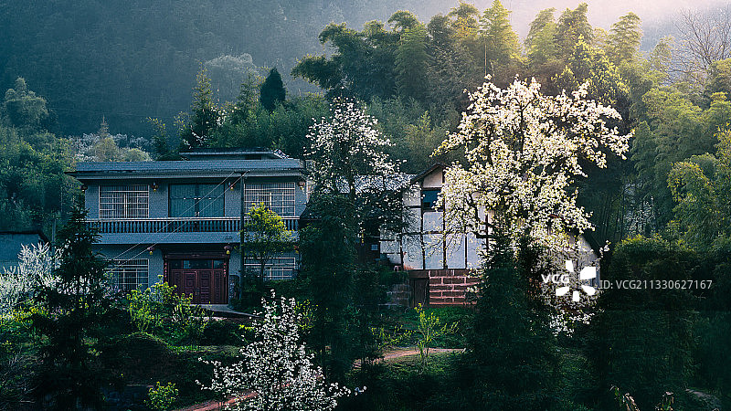 春到乡村图片素材