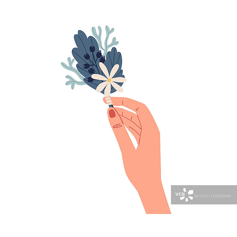 女人手持精致小胸花图片素材