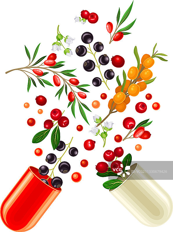 打开的硬壳胶囊与浆果维生素图片素材