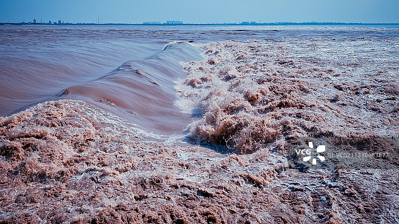 浙江省·海宁市·盐官镇·钱江潮图片素材