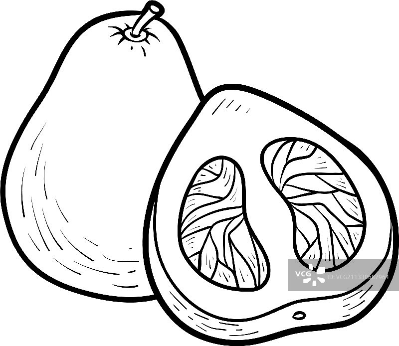 柚子涂色书图片素材