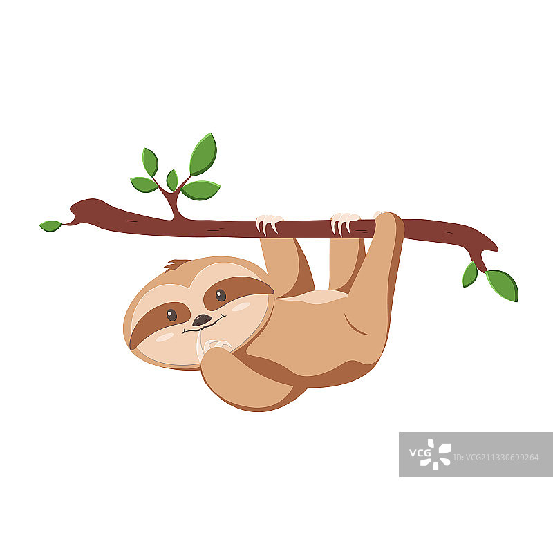 卡通树懒图片素材