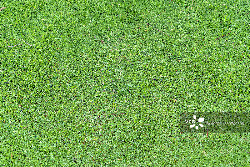 户外公园绿草地背景素材图片素材