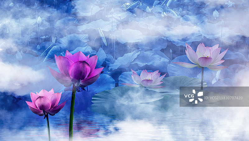 雾中荷塘荷花图片素材