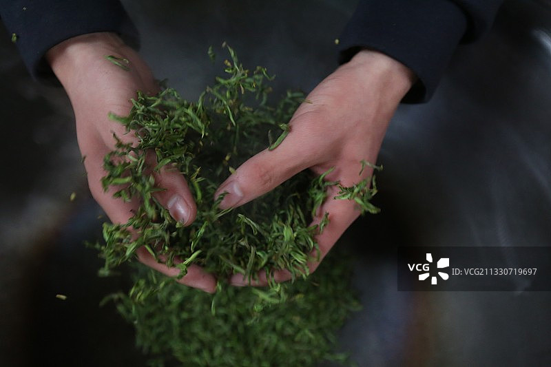 一个00后的炒茶人图片素材