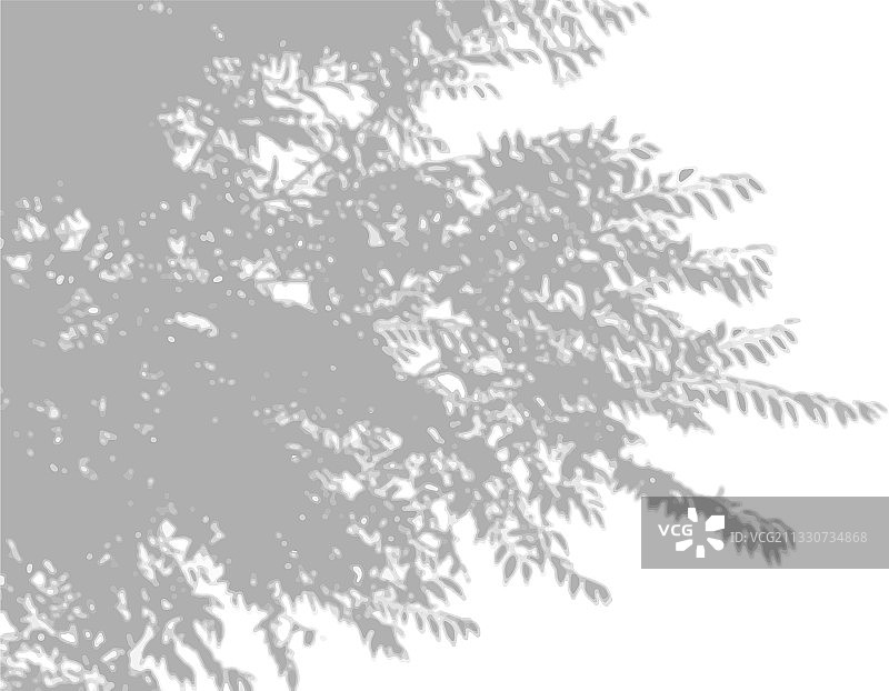 自然光从柳树枝上投下阴影图片素材