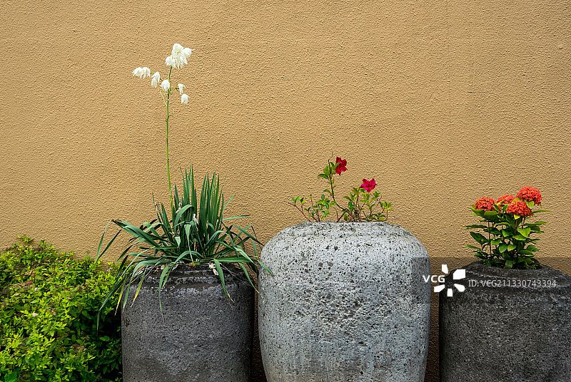 挡土墙上盆栽的特写图片素材