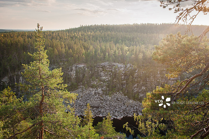 森林对天空的风景图片素材