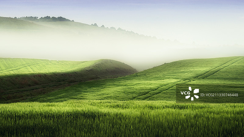 天空映衬下的农田风景图片素材