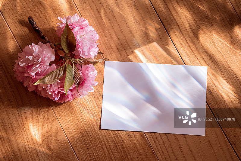 乌克兰桌子上的粉色花朵特写图片素材