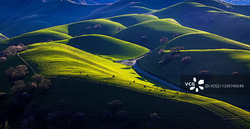 那拉提杏花沟图片素材
