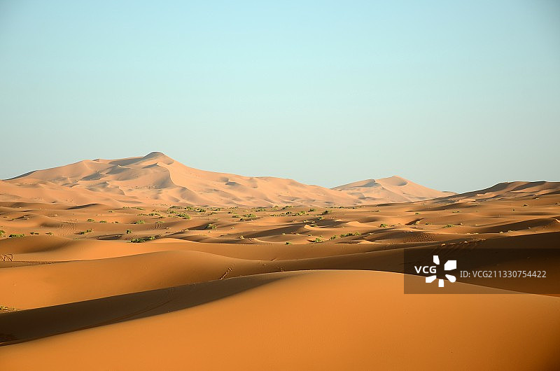 晴朗的天空映衬着沙漠的风景图片素材