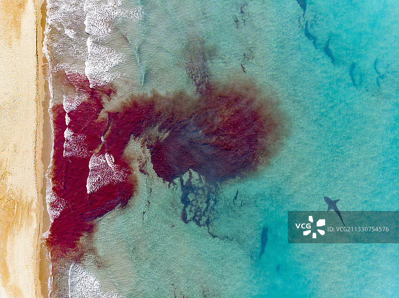 海面鸟瞰图，Forte dei Marmi，意大利卢卡图片素材