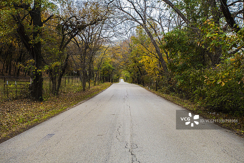 美国德克萨斯州丹顿森林中树木旁的空旷道路图片素材