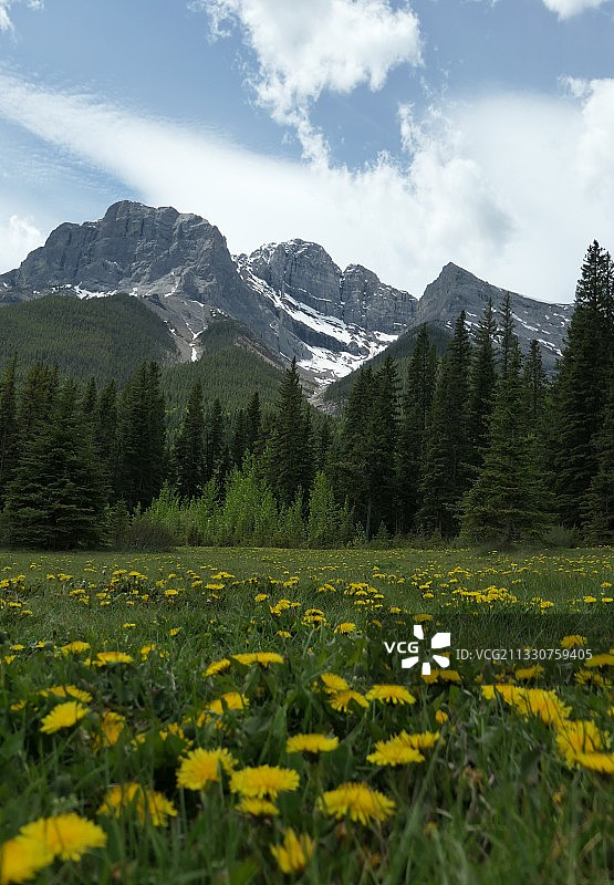 加拿大坎莫尔多云天空下的草地景色图片素材