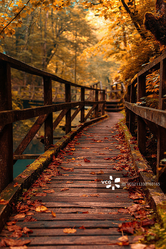 克罗地亚秋季树林中的空人行道图片素材