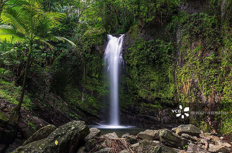 云雀森林瀑布景色，波多黎各图片素材