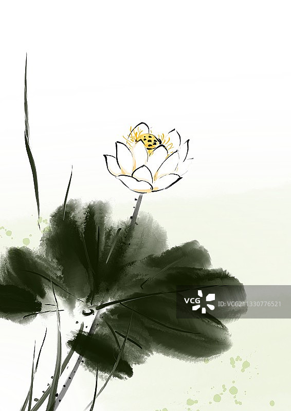 夏天中国风水墨荷花插画图片素材