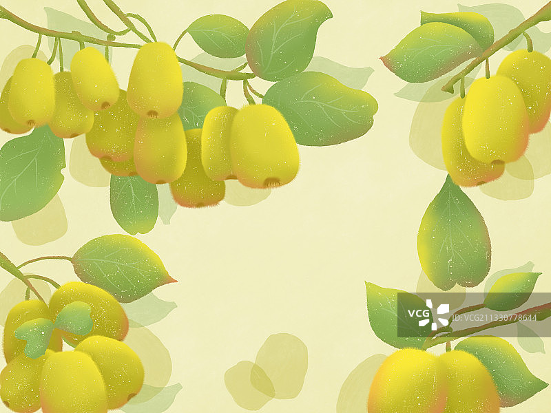 猕猴桃图片素材