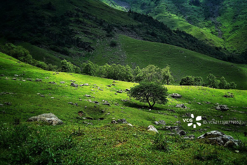 自然 凉山图片素材