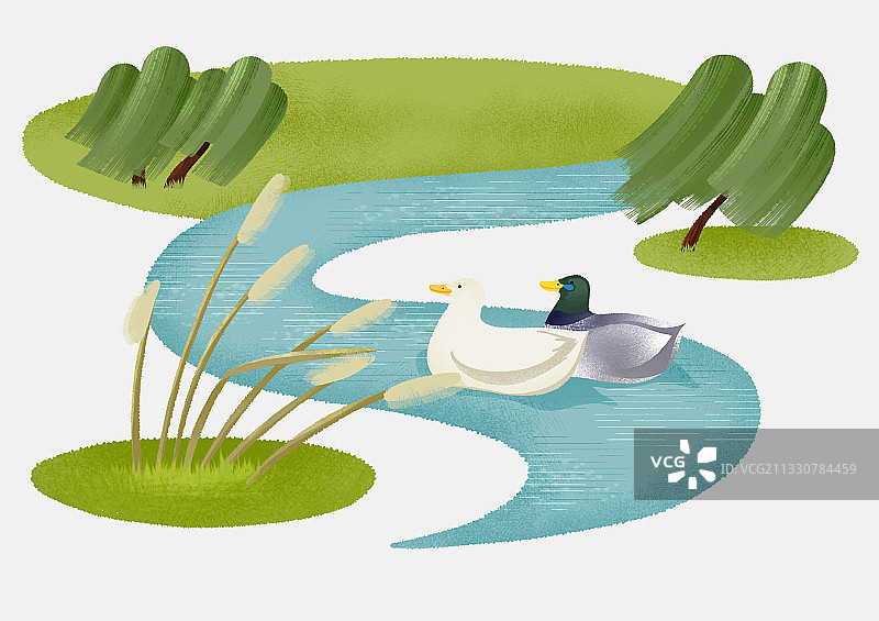 春江水暖鸭先知图片素材