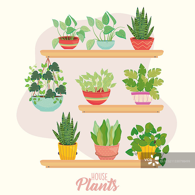 置于架子上的盆栽植物设计图片素材