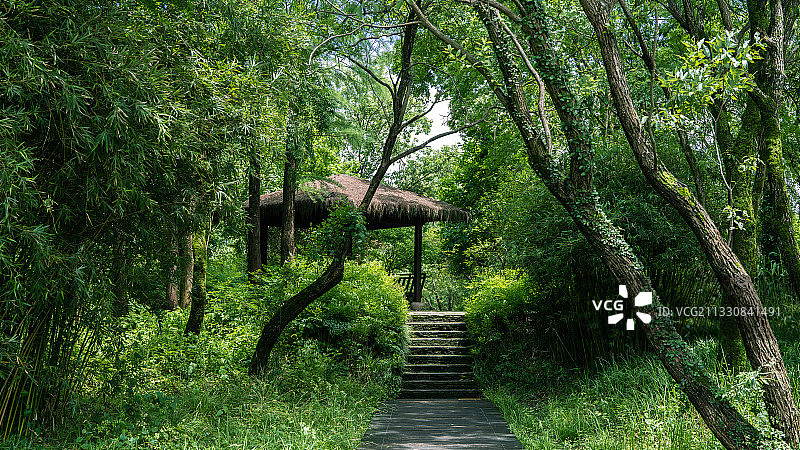 杭州·西溪国家湿地公园·绿堤景区图片素材