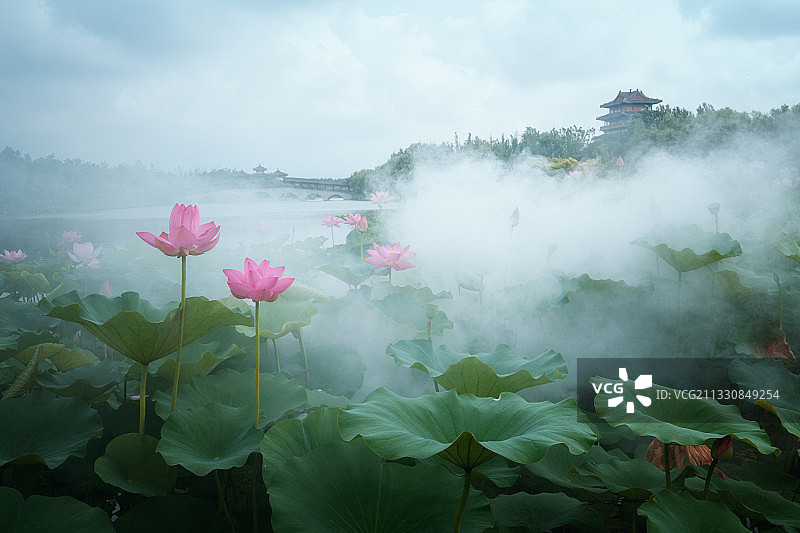 中国河北秦皇岛市戴河公园自然风光图片素材