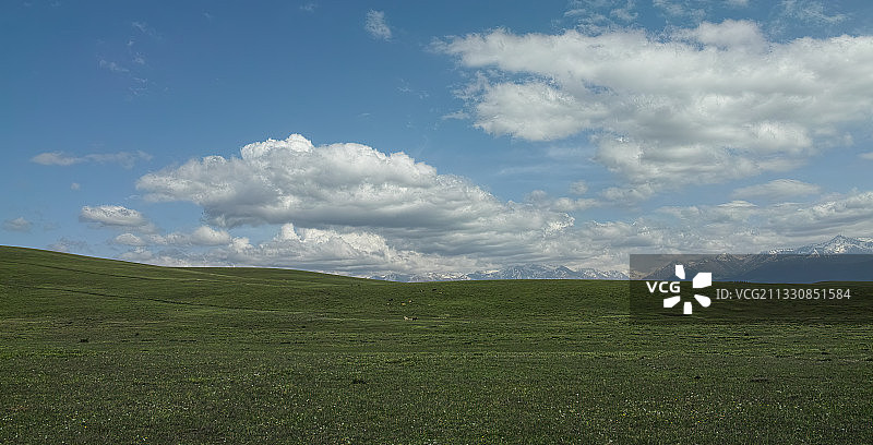 美丽的新疆伊犁草原风光图片素材