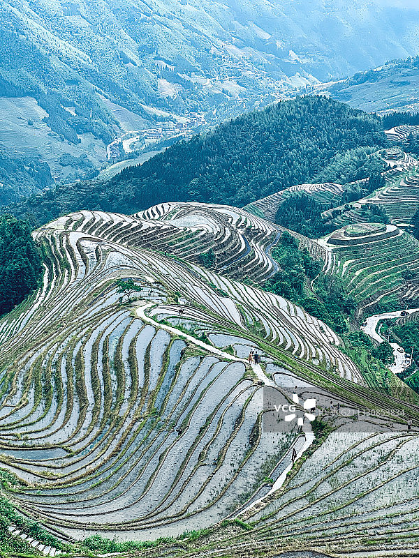 梯田图片素材
