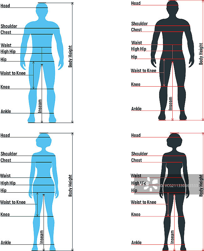 男女尺码表人体解剖图片素材