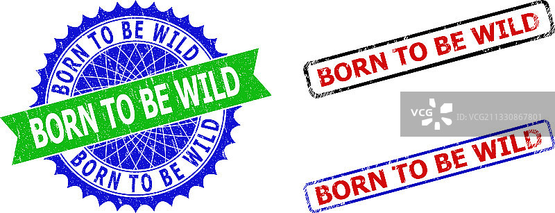 双色野生图案花结和矩形图片素材