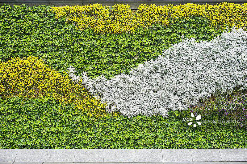 绿色植物景观墙背景素材图片素材