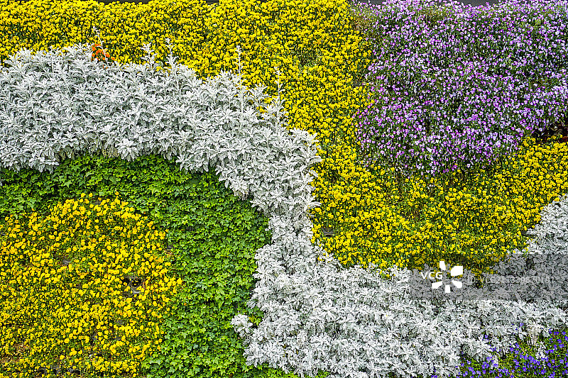 绿色植物景观墙背景素材图片素材