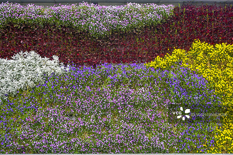 绿色植物景观墙背景素材图片素材