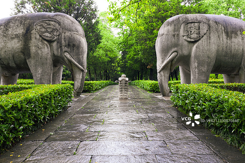 80吨重600岁的大象，南京石像路最美600米图片素材