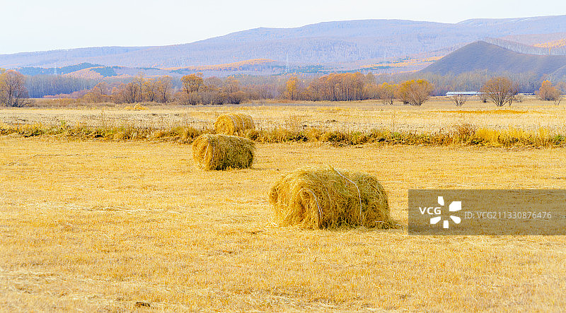 呼伦贝尔图片素材