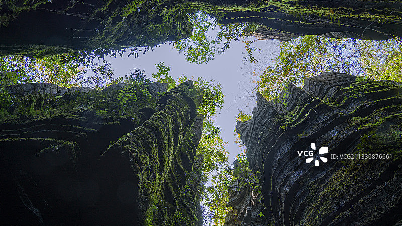 苍鹰-大自然的杰作 磨子沟 恩施图片素材