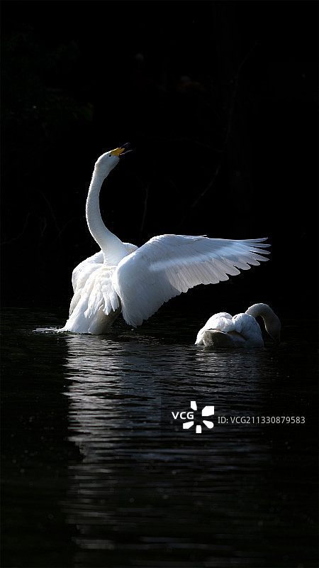 气宇轩昂图片素材