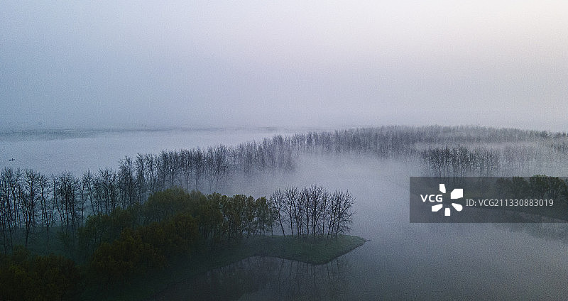 梦幻森林之梦幻晨雾图片素材