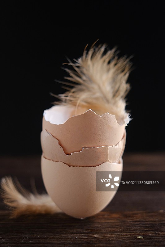 一颗鸡蛋的高光时刻图片素材