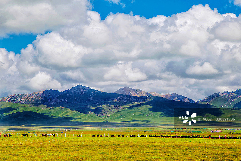 若尔盖草原图片素材