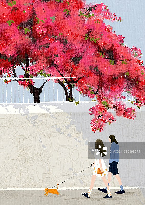 情侣散步图片素材