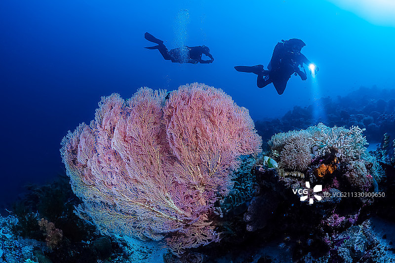 水下探索图片素材